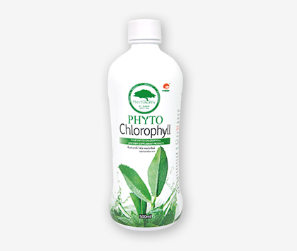 PHHP Phyto Chlorophyll